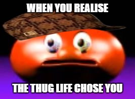 WHEN YOU REALISE; THE THUG LIFE CHOSE YOU | image tagged in tomato,scumbag | made w/ Imgflip meme maker