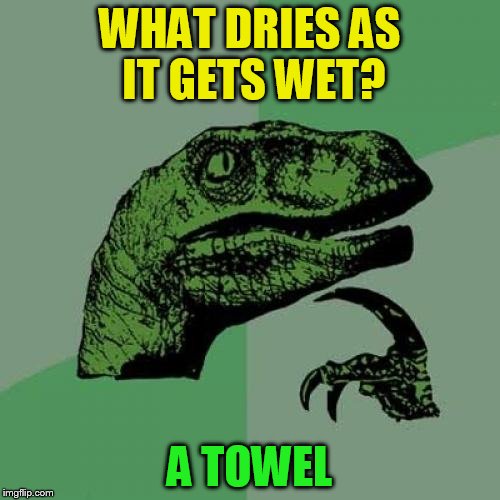 Philosoraptor Meme | WHAT DRIES AS IT GETS WET? A TOWEL | image tagged in memes,philosoraptor | made w/ Imgflip meme maker