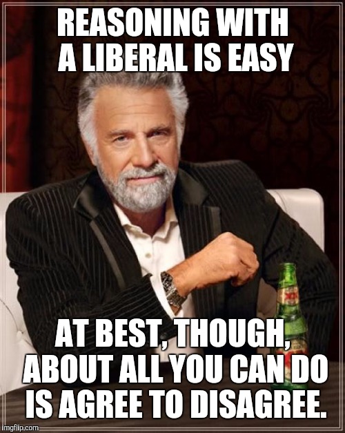The Most Interesting Man In The World Meme | REASONING WITH A LIBERAL IS EASY AT BEST, THOUGH, ABOUT ALL YOU CAN DO IS AGREE TO DISAGREE. | image tagged in memes,the most interesting man in the world | made w/ Imgflip meme maker