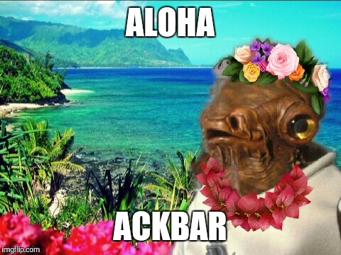In Hawaii | ALOHA ACKBAR | image tagged in in hawaii | made w/ Imgflip meme maker