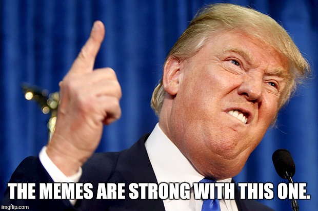 Donald Trump | THE MEMES ARE STRONG WITH THIS ONE. | image tagged in donald trump | made w/ Imgflip meme maker