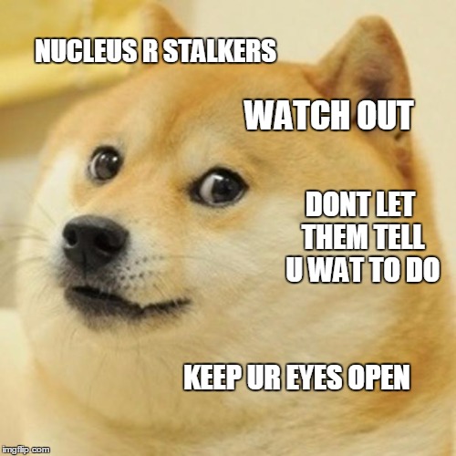 Doge Meme | NUCLEUS R STALKERS; WATCH OUT; DONT LET THEM TELL U WAT TO DO; KEEP UR EYES OPEN | image tagged in memes,doge | made w/ Imgflip meme maker
