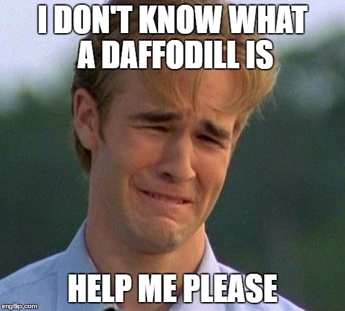 1990s First World Problems Meme | I DON'T KNOW WHAT A DAFFODILL IS; HELP ME PLEASE | image tagged in memes,1990s first world problems | made w/ Imgflip meme maker