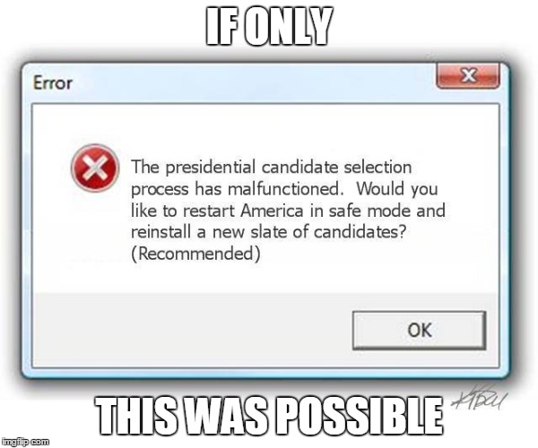 America.exe has crashed...Abort, Retry, Fail? | IF ONLY; THIS WAS POSSIBLE | image tagged in election 2016,none of the above | made w/ Imgflip meme maker