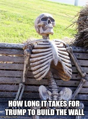 Waiting Skeleton Meme | HOW LONG IT TAKES FOR TRUMP TO BUILD THE WALL | image tagged in memes,waiting skeleton | made w/ Imgflip meme maker