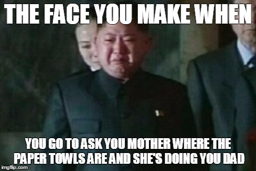 Kim Jong Un Sad | THE FACE YOU MAKE WHEN; YOU GO TO ASK YOU MOTHER WHERE THE PAPER TOWLS ARE AND SHE'S DOING YOU DAD | image tagged in memes,kim jong un sad | made w/ Imgflip meme maker