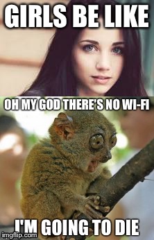 GIRLS BE LIKE | image tagged in funny animals | made w/ Imgflip meme maker