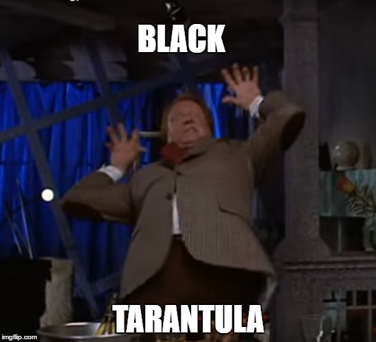 Black Tarantula | BLACK; TARANTULA | image tagged in beetlejuice,i hate spiders,spiders,spiders suck | made w/ Imgflip meme maker