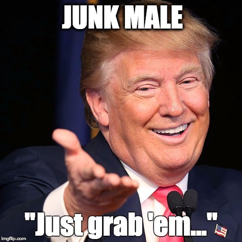 Junk Male |  JUNK MALE; "Just grab 'em..." | image tagged in trump,trump grabs that pussy | made w/ Imgflip meme maker