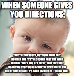 Skeptical Baby Meme | WHEN SOMEONE GIVES YOU DIRECTIONS;; TAKE THE 107 SOUTH, NOT SURE WHAT EXIT NUMBER BUT IT’S THE SECOND PAST THE WIND TURBINE. WHEN YOU GET THERE, TAKE THE FIRST ROAD TWO STOP SIGNS AFTER THE SPOT WHERE THE OLD REGGIE MCFARLEN’S BARN USED TO BE. FOLLOW THAT.. | image tagged in memes,skeptical baby | made w/ Imgflip meme maker