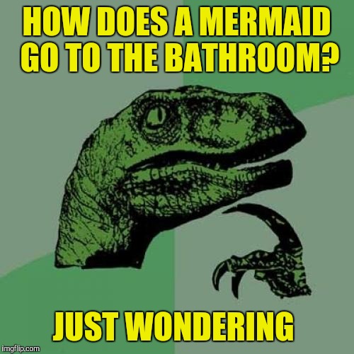 Is there a zipper somewhere?  | HOW DOES A MERMAID GO TO THE BATHROOM? JUST WONDERING | image tagged in memes,philosoraptor,mermaid,going to the bathroom | made w/ Imgflip meme maker