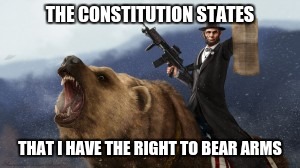Basic Laws | THE CONSTITUTION STATES; THAT I HAVE THE RIGHT TO BEAR ARMS | image tagged in abe lincoln,bear,gun,constitution,uzi | made w/ Imgflip meme maker