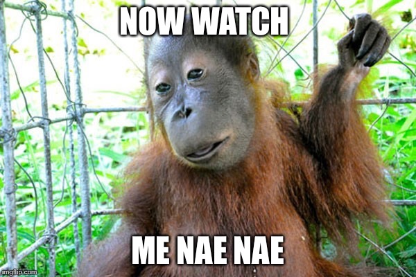 NOW WATCH; ME NAE NAE | image tagged in funny | made w/ Imgflip meme maker