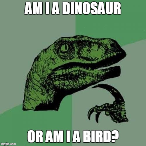 Philosoraptor | AM I A DINOSAUR; OR AM I A BIRD? | image tagged in memes,philosoraptor | made w/ Imgflip meme maker