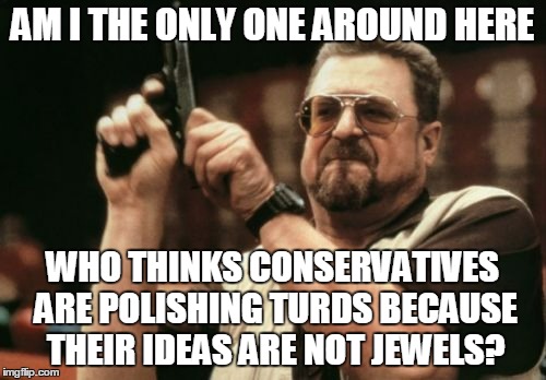 Am I The Only One Around Here Meme | AM I THE ONLY ONE AROUND HERE WHO THINKS CONSERVATIVES ARE POLISHING TURDS BECAUSE THEIR IDEAS ARE NOT JEWELS? | image tagged in memes,am i the only one around here | made w/ Imgflip meme maker