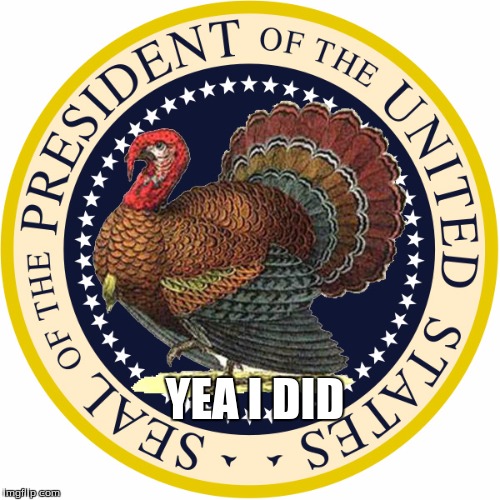 Turkey President | YEA I DID | image tagged in president,turkey,bird | made w/ Imgflip meme maker