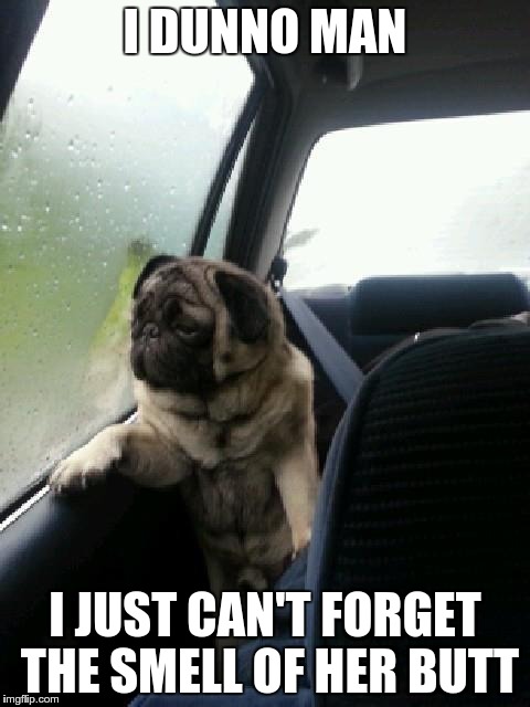 Introspective Pug | I DUNNO MAN; I JUST CAN'T FORGET THE SMELL OF HER BUTT | image tagged in introspective pug,dogs,funny dogs | made w/ Imgflip meme maker