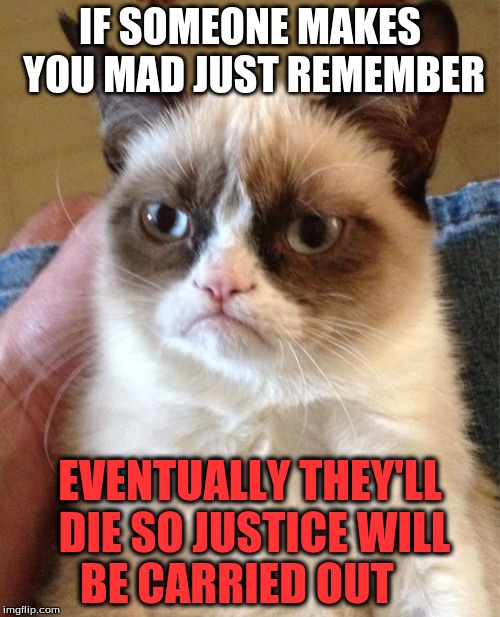 How To Deal With Anger | IF SOMEONE MAKES YOU MAD JUST REMEMBER; EVENTUALLY THEY'LL DIE SO JUSTICE WILL BE CARRIED OUT | image tagged in memes,grumpy cat | made w/ Imgflip meme maker