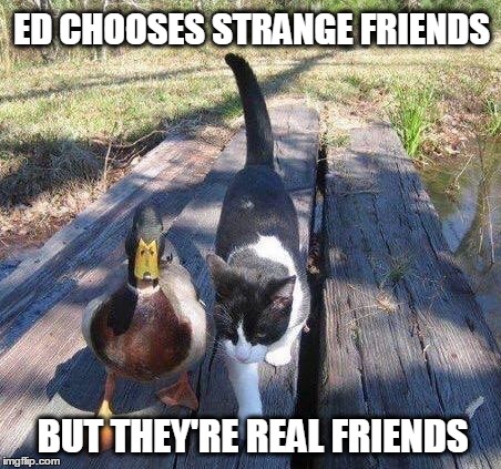 ED CHOOSES STRANGE FRIENDS; BUT THEY'RE REAL FRIENDS | image tagged in friends,animals,love,loyalty | made w/ Imgflip meme maker