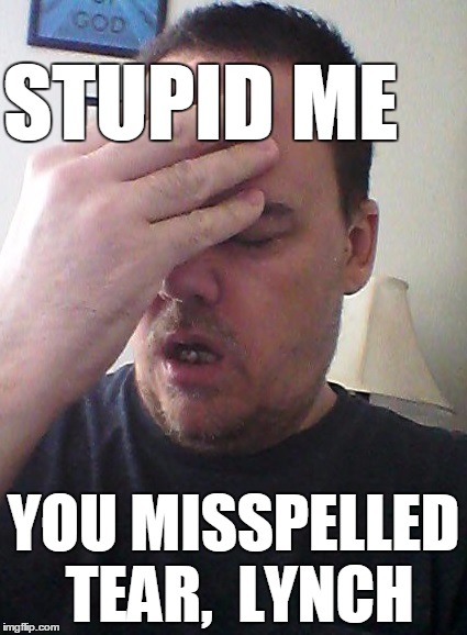 face palm | STUPID ME YOU MISSPELLED TEAR,  LYNCH | image tagged in face palm | made w/ Imgflip meme maker