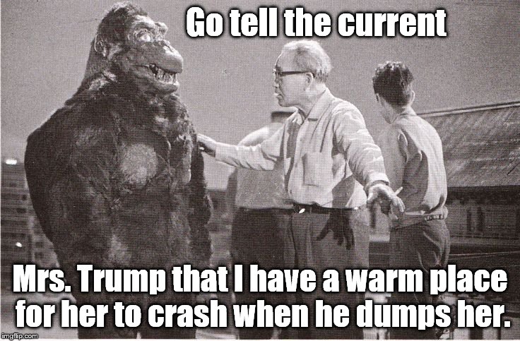Kong with Director | Go tell the current Mrs. Trump that I have a warm place for her to crash when he dumps her. | image tagged in kong with director | made w/ Imgflip meme maker