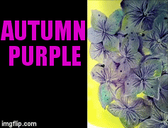 Autumn Purple | AUTUMN PURPLE | image tagged in gifs | made w/ Imgflip video-to-gif maker
