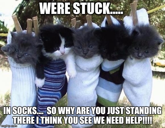 hang-in-there-kittens | WERE STUCK..... IN SOCKS.... 
SO WHY ARE YOU JUST STANDING THERE I THINK YOU SEE WE NEED HELP!!!! | image tagged in hang-in-there-kittens | made w/ Imgflip meme maker