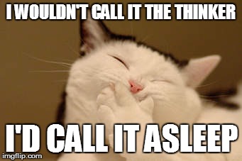 I WOULDN'T CALL IT THE THINKER; I'D CALL IT ASLEEP | image tagged in sleeping cat | made w/ Imgflip meme maker