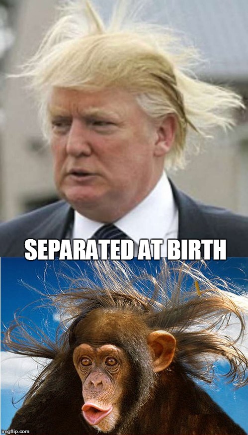 SEPARATED AT BIRTH | image tagged in donald trump | made w/ Imgflip meme maker