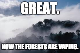 Great. Now the forests are vaping. | GREAT. NOW THE FORESTS ARE VAPING. | image tagged in vape | made w/ Imgflip meme maker