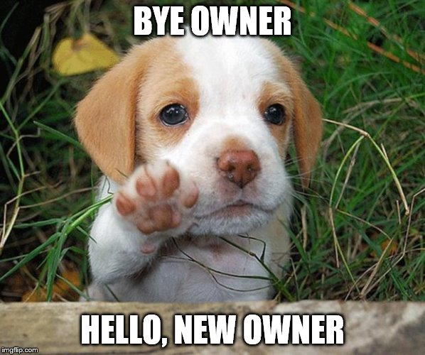 dog puppy bye | BYE OWNER; HELLO, NEW OWNER | image tagged in dog puppy bye | made w/ Imgflip meme maker