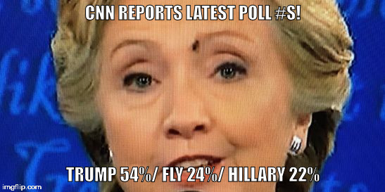 CNN REPORTS LATEST POLL #S! TRUMP 54%/
FLY 24%/
HILLARY 22% | image tagged in hillary fly | made w/ Imgflip meme maker