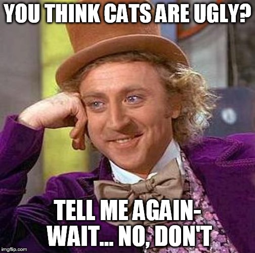 Creepy Condescending Wonka Meme | YOU THINK CATS ARE UGLY? TELL ME AGAIN- WAIT... NO, DON'T | image tagged in memes,creepy condescending wonka | made w/ Imgflip meme maker