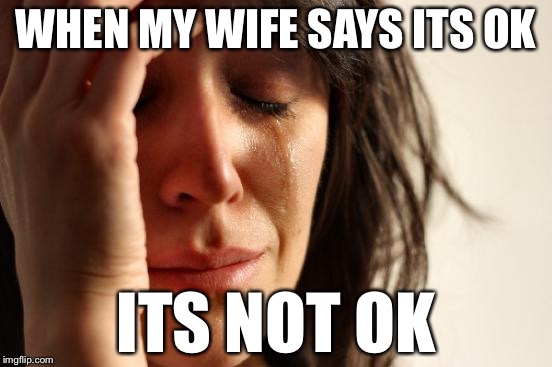 First World Problems | WHEN MY WIFE SAYS ITS OK; ITS NOT OK | image tagged in memes,first world problems | made w/ Imgflip meme maker