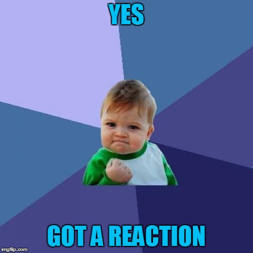 Success Kid Meme | YES GOT A REACTION | image tagged in memes,success kid | made w/ Imgflip meme maker
