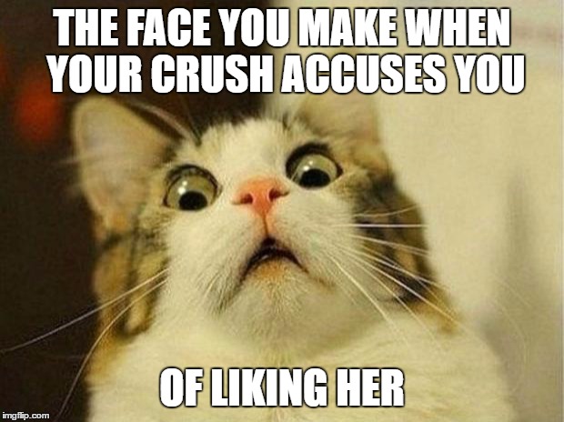 Scared Cat | THE FACE YOU MAKE WHEN YOUR CRUSH ACCUSES YOU; OF LIKING HER | image tagged in memes,scared cat | made w/ Imgflip meme maker