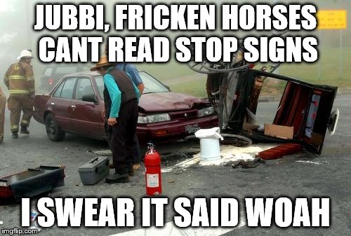 Amish Car Accident | JUBBI, FRICKEN HORSES CANT READ STOP SIGNS; I SWEAR IT SAID WOAH | image tagged in amish car accident | made w/ Imgflip meme maker