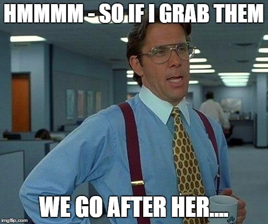 That Would Be Great | HMMMM - SO IF I GRAB THEM; WE GO AFTER HER.... | image tagged in memes,that would be great | made w/ Imgflip meme maker