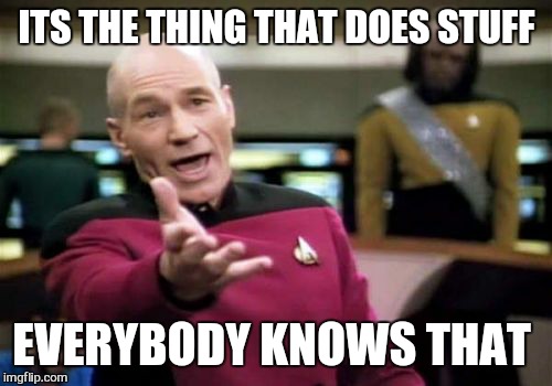 Picard Wtf Meme | ITS THE THING THAT DOES STUFF EVERYBODY KNOWS THAT | image tagged in memes,picard wtf | made w/ Imgflip meme maker