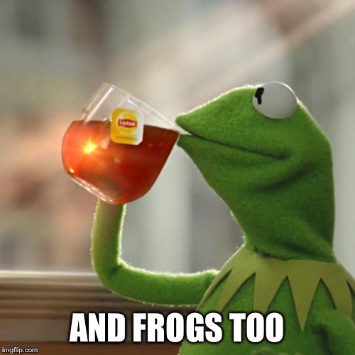 But That's None Of My Business Meme | AND FROGS TOO | image tagged in memes,but thats none of my business,kermit the frog | made w/ Imgflip meme maker