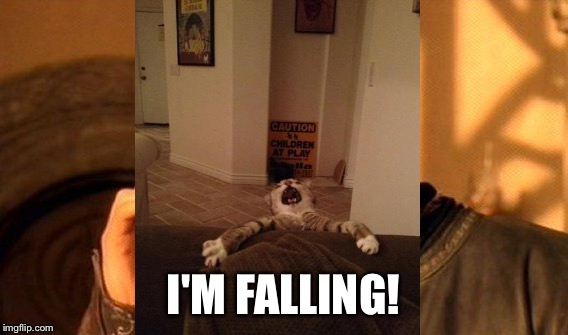 One Does Not Simply Meme | I'M FALLING! | image tagged in memes,one does not simply | made w/ Imgflip meme maker