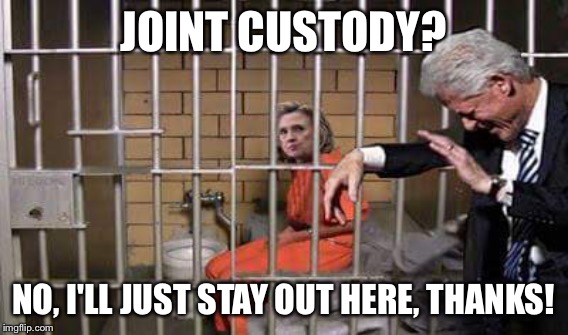 JOINT CUSTODY? NO, I'LL JUST STAY OUT HERE, THANKS! | made w/ Imgflip meme maker