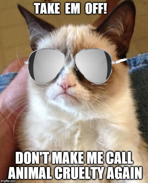 Who's a pretty pussy! | TAKE  EM  OFF! DON'T MAKE ME CALL ANIMAL CRUELTY AGAIN | image tagged in memes,grumpy cat,who's a pretty pussy,take em off,don't make me call animal cruelty again,politically tempermental pussy | made w/ Imgflip meme maker
