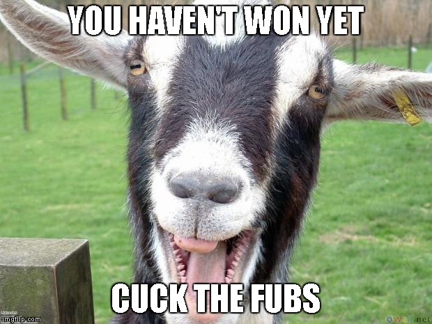 Curse goat | YOU HAVEN'T WON YET; CUCK THE FUBS | image tagged in cubs,goat,cubs suck,goat curse | made w/ Imgflip meme maker