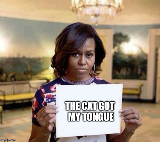 Michelle Obama blank sheet | THE CAT GOT MY TONGUE | image tagged in michelle obama blank sheet | made w/ Imgflip meme maker