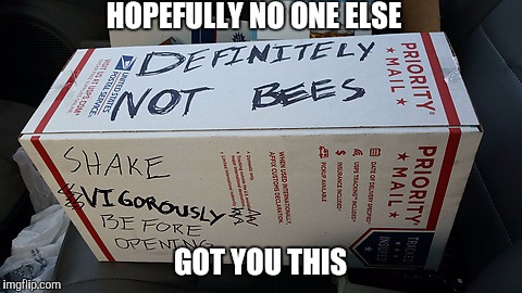 Happy Birthday, your present is in the mail | HOPEFULLY NO ONE ELSE; GOT YOU THIS | image tagged in happy birthday,bees,definitely not bees,dad joke,glitter bomb | made w/ Imgflip meme maker