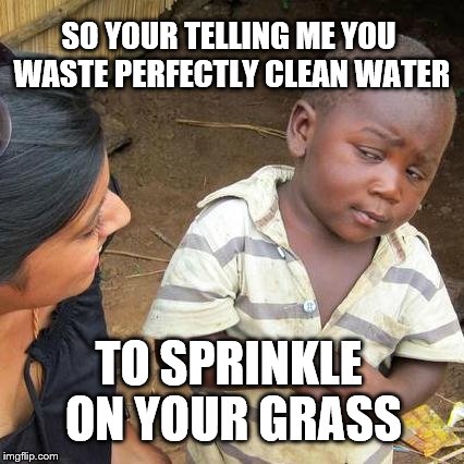 Third World Skeptical Kid Meme | SO YOUR TELLING ME YOU WASTE PERFECTLY CLEAN WATER; TO SPRINKLE ON YOUR GRASS | image tagged in memes,third world skeptical kid | made w/ Imgflip meme maker
