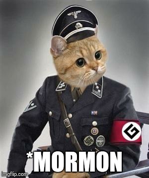 Grammar Cat  | *MORMON | image tagged in grammar cat | made w/ Imgflip meme maker