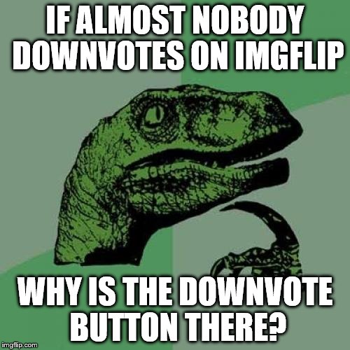 Bad Influence | IF ALMOST NOBODY DOWNVOTES ON IMGFLIP; WHY IS THE DOWNVOTE BUTTON THERE? | image tagged in memes,philosoraptor,imgflip,downvote,upvote | made w/ Imgflip meme maker