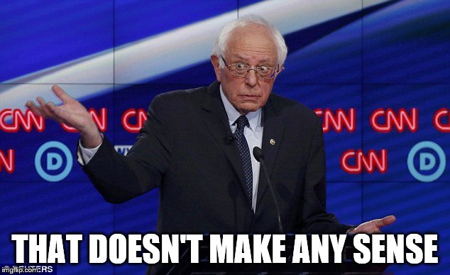 Wat Bernie | THAT DOESN'T MAKE ANY SENSE | image tagged in wat bernie | made w/ Imgflip meme maker